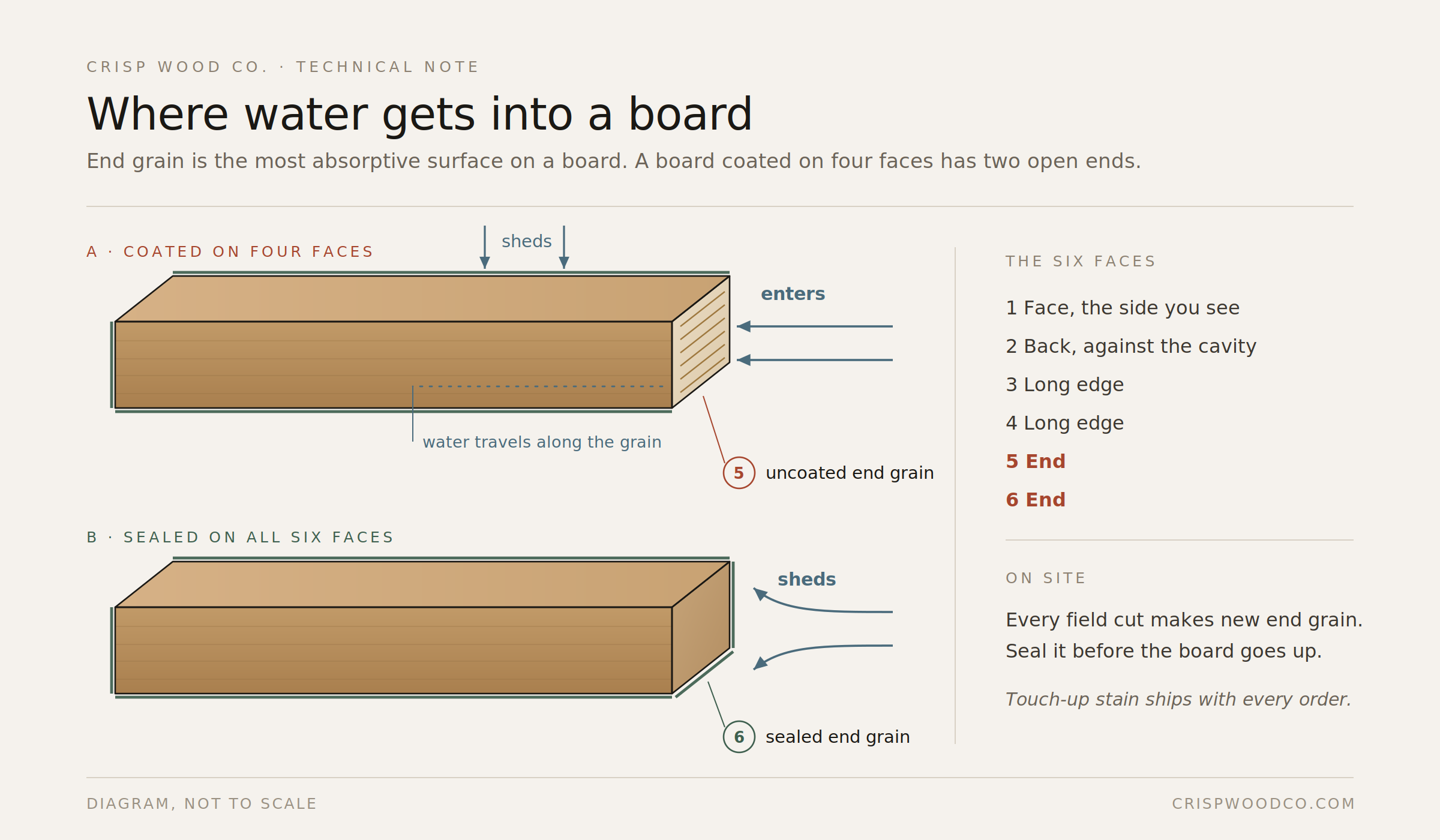 Diagram comparing a board coated on four faces, where water enters the open end grain, with a board sealed on all six faces, where water sheds